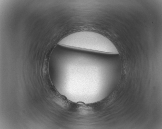 X0000080790515200612151101