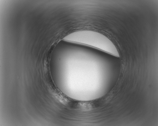 X0000080790520200612151101