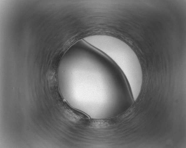 X0000080790521200612151101