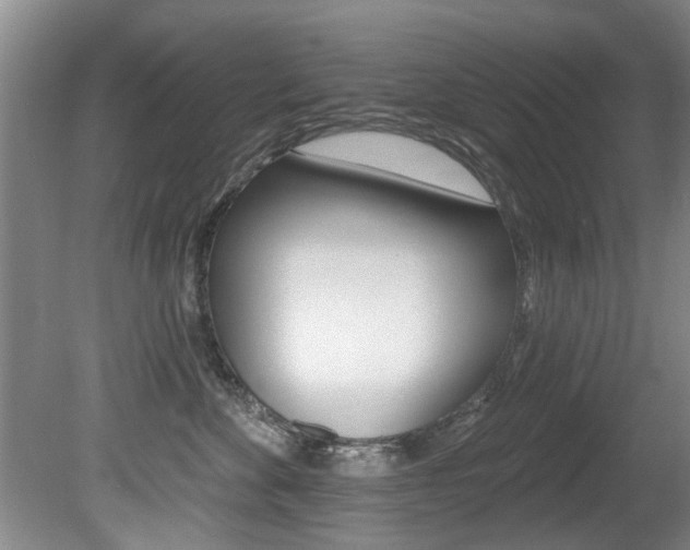 X0000080790524200612151101