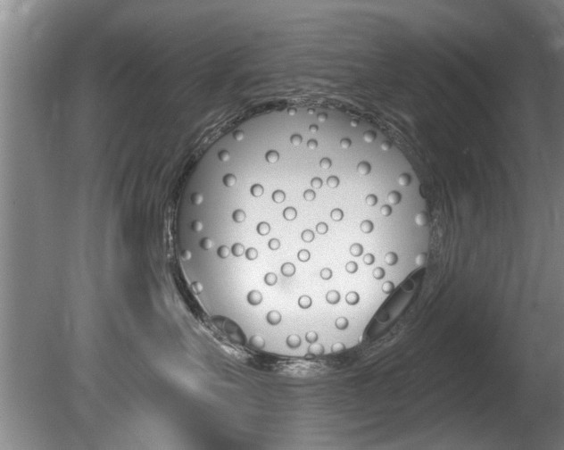 X0000080790527200612151101