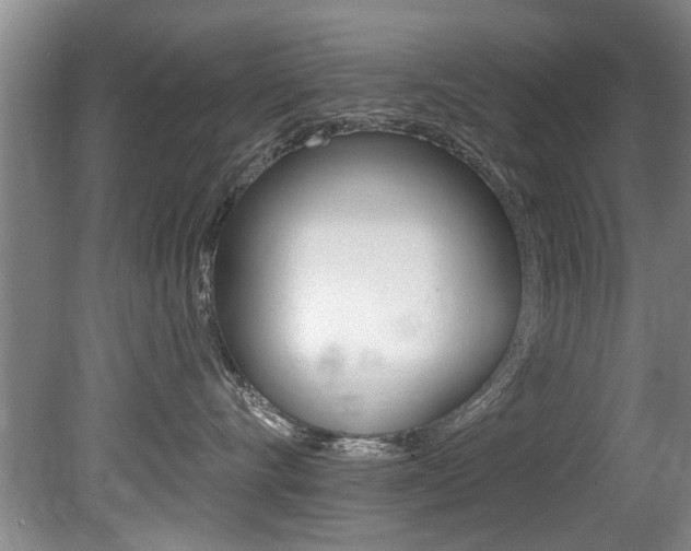 X0000080790528200612151101