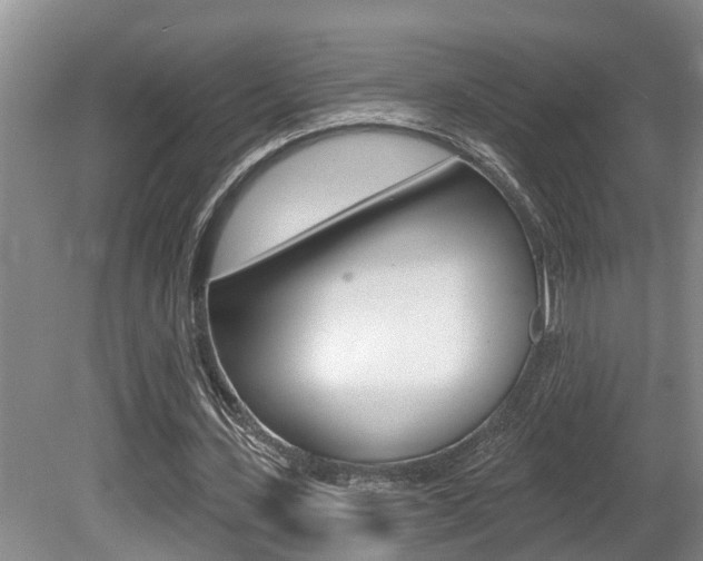 X0000080790531200612151100