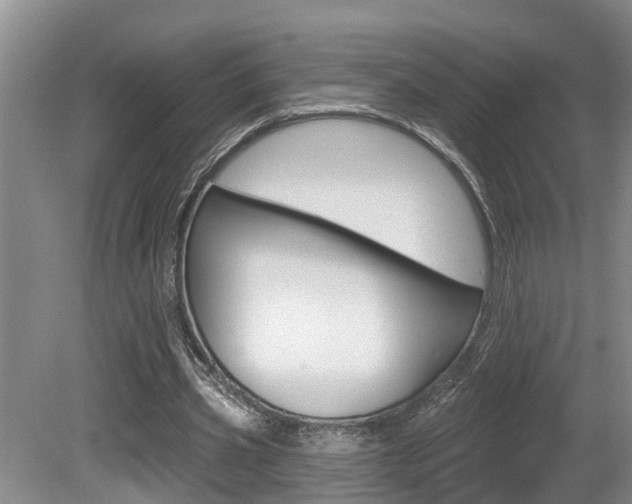 X0000080790533200612151100