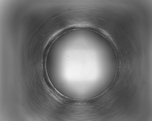 X0000080790535200612151100