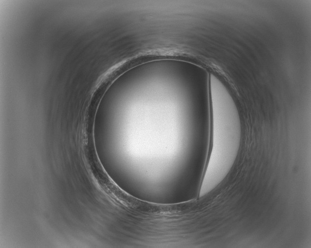 X0000080790536200612151100