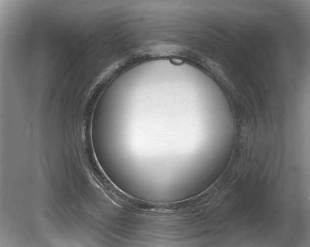 X0000080790539200612151100