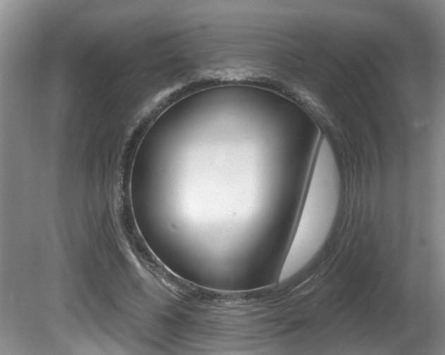 X0000080790540200612151100