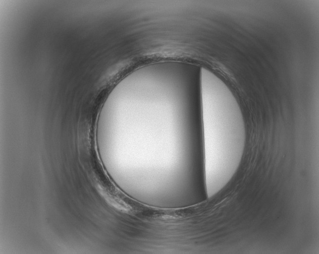 X0000080790542200612151100