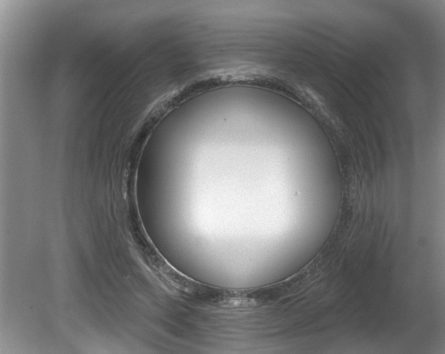 X0000080790543200612151100