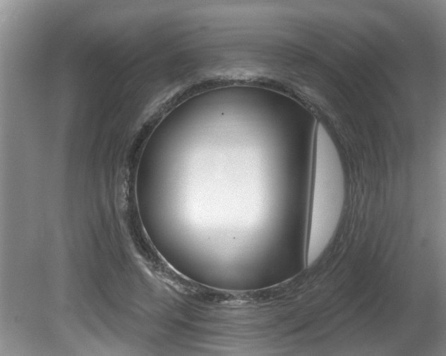 X0000080790544200612151100