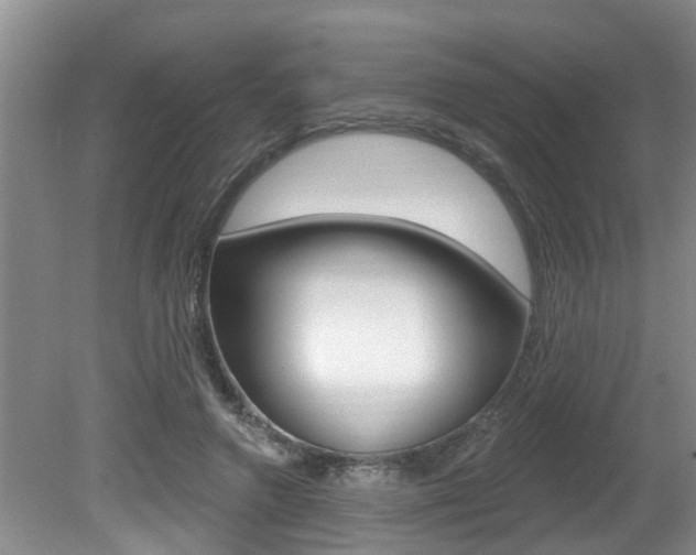 X0000080790546200612151100