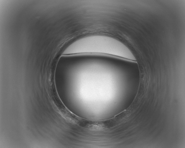 X0000080790548200612151100