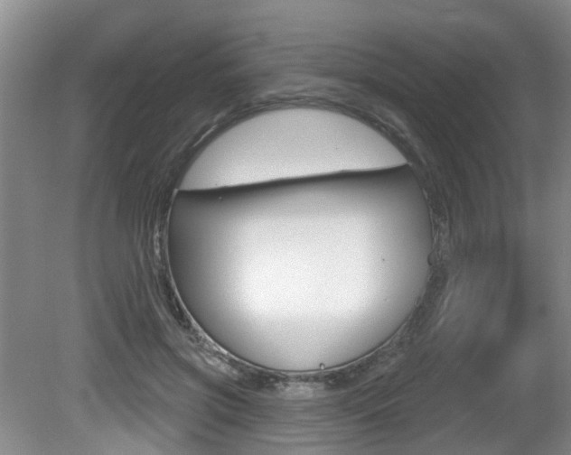 X0000080790549200612151100