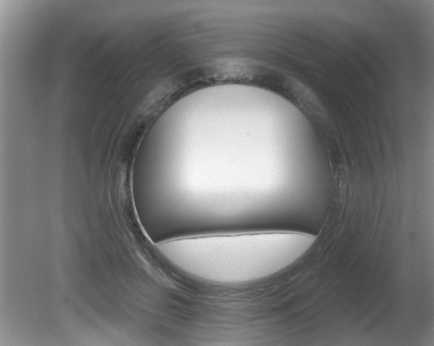 X0000080790550200612151100