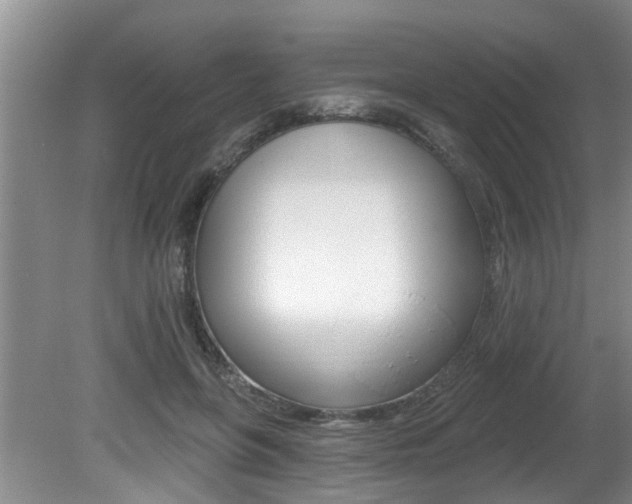 X0000080790551200612151100