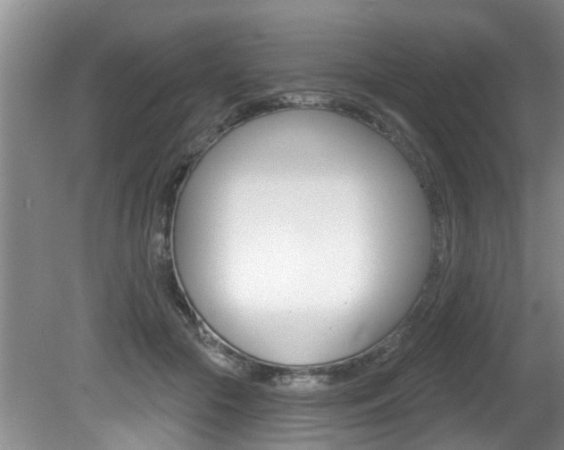 X0000080790553200612151101