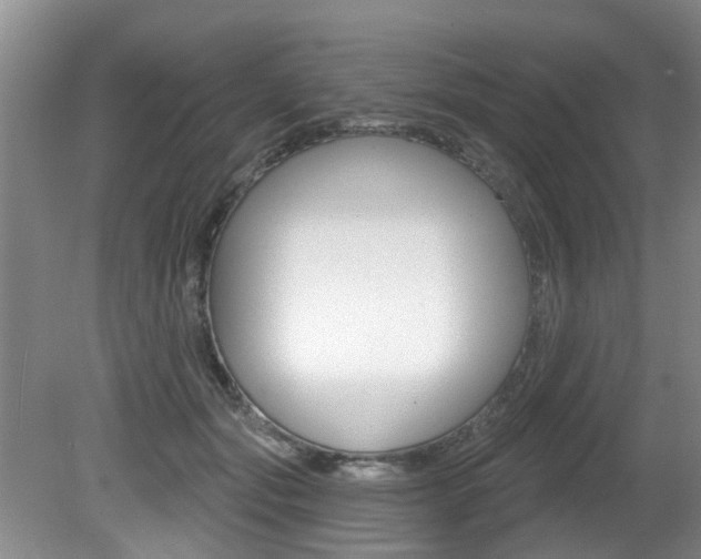 X0000080790557200612151101