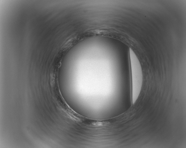 X0000080790558200612151101