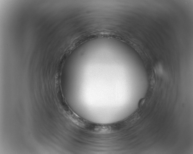 X0000080790559200612151101