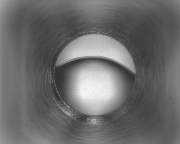 X0000080790564200612151101