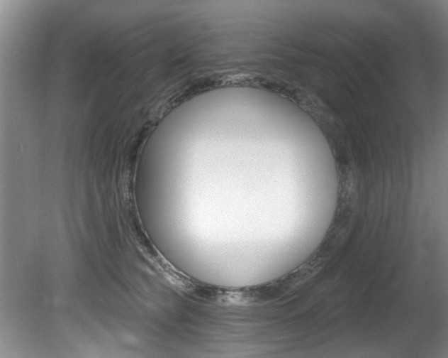 X0000080790565200612151101