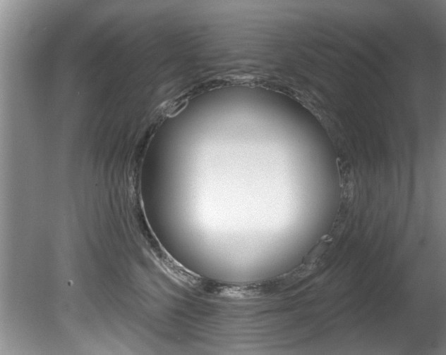 X0000080790568200612151101