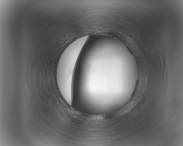 X0000080790576200612151101