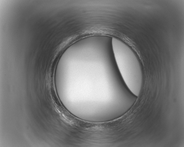 X0000080790578200612151100