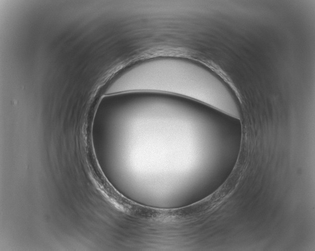 X0000080790581200612151100