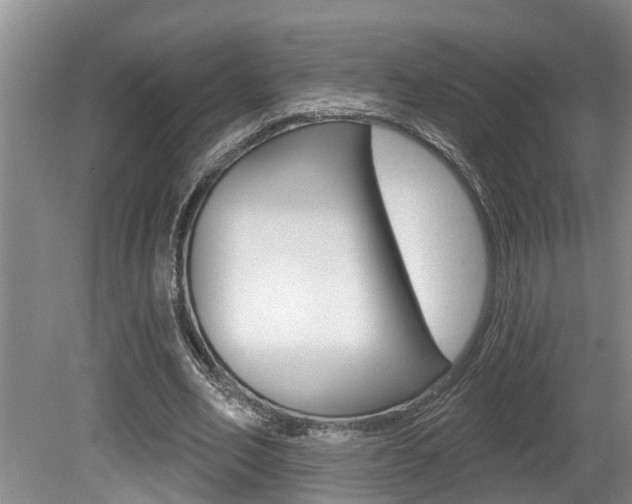 X0000080790582200612151100
