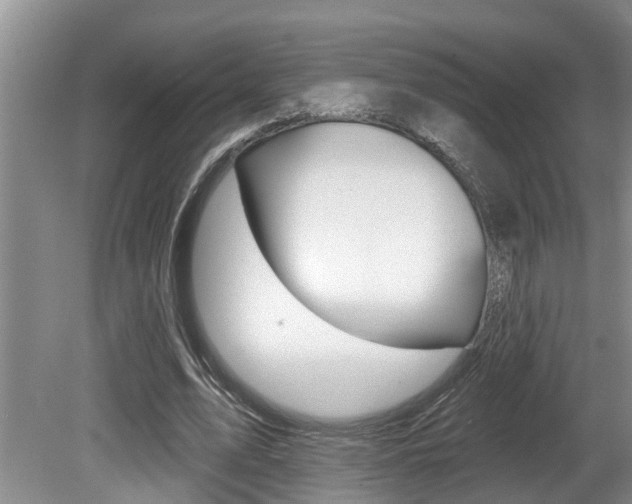 X0000080790583200612151100