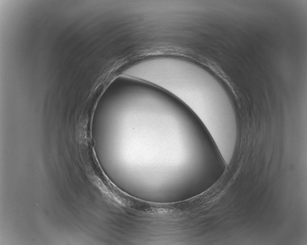 X0000080790585200612151100