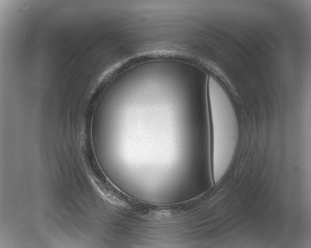 X0000080790588200612151100
