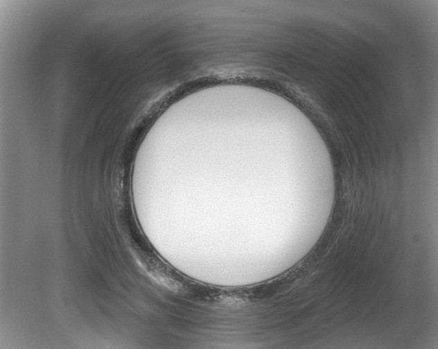 X0000080790592200612151100
