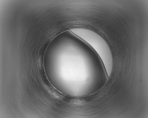 X0000080790597200612151100
