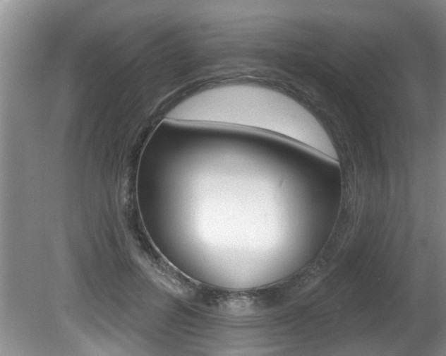 X0000080790600200612151100