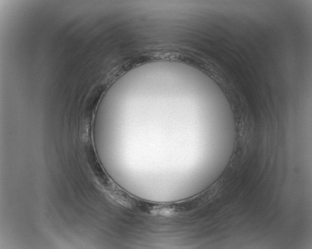 X0000080790602200612151100