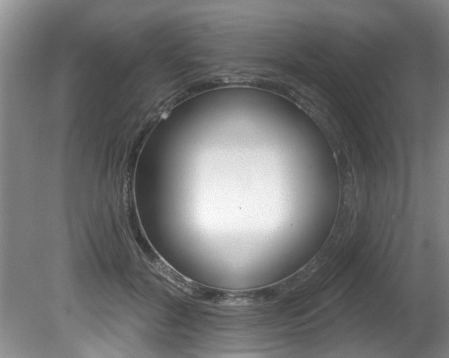 X0000080790604200612151100