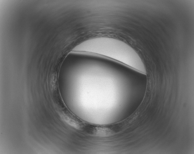 X0000080790605200612151100