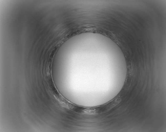 X0000080790606200612151100