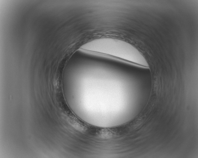 X0000080790608200612151100