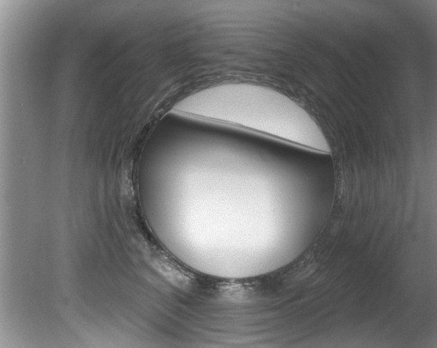 X0000080790616200612151059