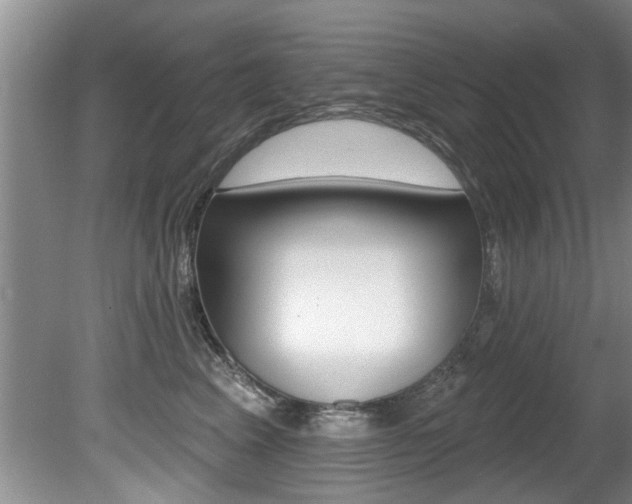 X0000080790617200612151059