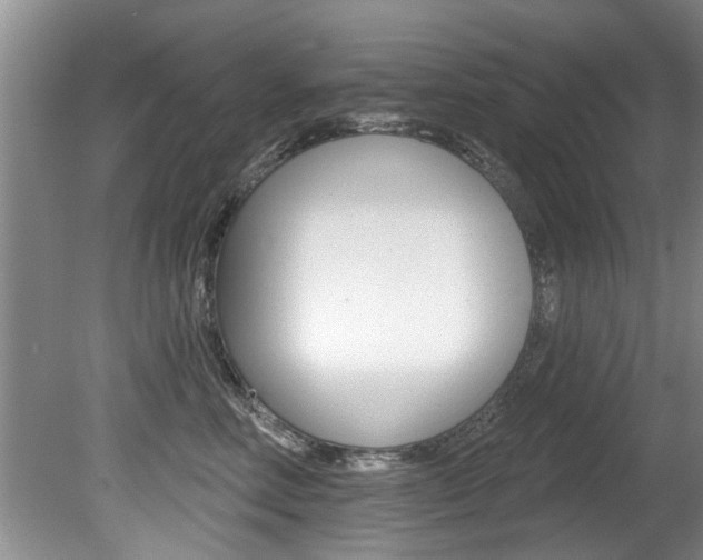 X0000080790618200612151059