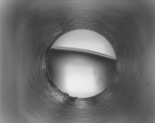X0000080790620200612151059
