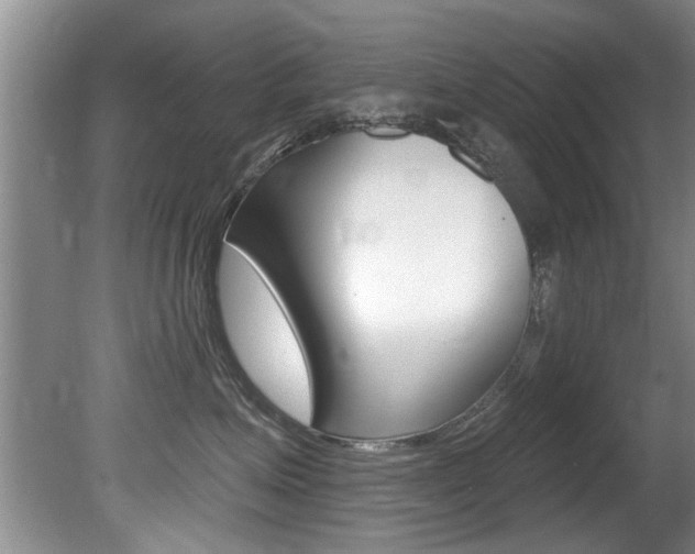 X0000080790623200612151059