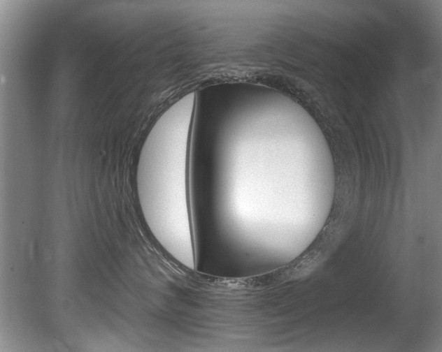 X0000080790624200612151059