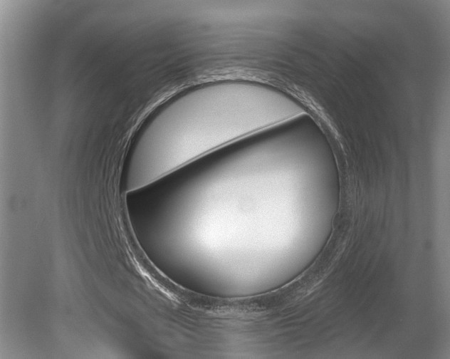X0000080790625200612151058