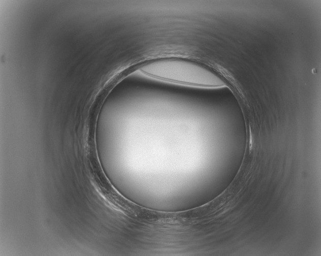 X0000080790627200612151059